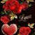 Bonnie Thomas's profile image