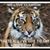 Sandy Wagoner's profile image