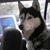 Minnette E. Dagostaro's profile image