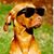 Jeryl Cox's profile image