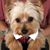 Trish Tropeano's profile image