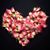 Wendy Millar Logue's profile image
