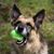 Jerry Page's profile image