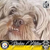 Ginny Kesterson's profile image
