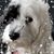 Spring Burrell's profile image