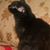 Uzma Afzal's profile image