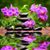 Tonya Monks-D'Amico's profile image