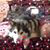 Kathy Kendall's profile image