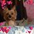 Dawn Ricci's profile image