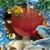 Dee Palm's profile image