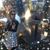 Tamantha Purcell Harrison's profile image