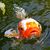 Brian Fusco's profile image