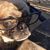 Dave Schwinn's profile image