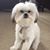 Amy Johnson Batz's profile image