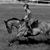 Annie Fike's profile image