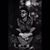 Brian Farro Jr.'s profile image