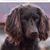 Hal Overby's profile image