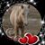 Diane Palmer Fisher's profile image