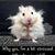 Susan Ulrich-Reese's profile image