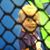 Tina Fritz's profile image