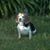 Wayne H. Dirks's profile image