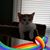 Becky Schilling's profile image