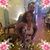 Suzanne Schmucker's profile image