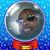 Craig Hill's profile image