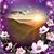 Flora Chatten's profile image