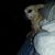 Kenny Risner's profile image