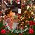 Christina Turoldo's profile image