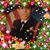 Sandy Iski's profile image
