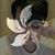 Luan Luu's profile image