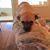 Kim Schneeberger Bentley's profile image