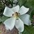 Marci Johnson Wall's profile image