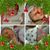 Judy Jones's profile image