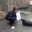 Janine Bartling's profile image