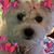Renee Butler Schwieger's profile image
