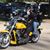 Raul Flores's profile image