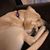 Katie Wasson's profile image