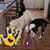 Karen Van Dusen's profile image