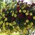Marna Wirth's profile image