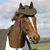 Quinoaquin Phoenix's profile image