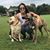 Adriana Jaimes's profile image