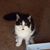 Diana LeAnn Green's profile image