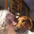 Stephanie Hopper Easley's profile image