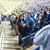 Tracey Kupke's profile image