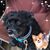 Cecil Humphries's profile image