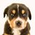 Mary DeSoto's profile image