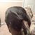 Carrie Sanders's profile image